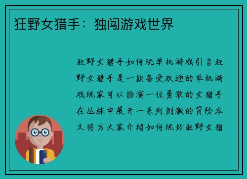 狂野女猎手：独闯游戏世界